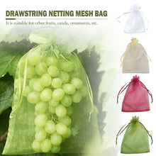Load image into Gallery viewer, 50pcs Garden Vegetable Fruit Grow Bag Plants Protection Bag