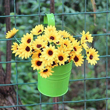 Load image into Gallery viewer, 10 Pack Flower Pots Hanging Pots Balcony Garden Plant Hook Iron Planter
