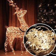 Load image into Gallery viewer, 4 Colors led String Light 100/200LED 10M/20M Christmas Decoration Lights