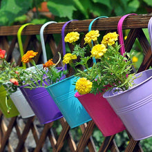 Load image into Gallery viewer, 10 Pack Flower Pots Hanging Pots Balcony Garden Plant Hook Iron Planter