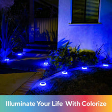 Load image into Gallery viewer, 6 Lights LED Colorful Pathway Solar Light