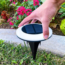 Load image into Gallery viewer, 6 Lights LED Colorful Pathway Solar Light