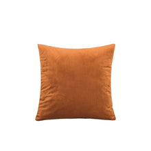 Load image into Gallery viewer, Solid Color Velvet Cushion Cove