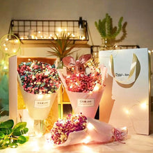 Load image into Gallery viewer, Mini Light Copper Wire String Light