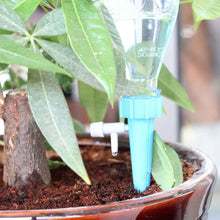 Load image into Gallery viewer, 6/12PCS Drip Irrigation System Automatic Watering Spike for Plants
